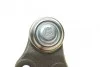 Опора кульова (передня/знизу) Ford Focus II 1.4-2.0TDCi 04-12/C-Max 07-10/Volvo C30/C70/S40 04- UA63 ASMETAL 10FR1706 (фото 2)