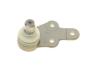 Кульова опора (шарнір) (передня/знизу/R) Ford Kuga I 2.0TDCi/2.5 08- (opt-om) ASMETAL 10FR1781 (фото 6)