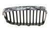 Решітка радіатора BMW 5 (F10) 13-16 (L) (opt-om) AUTOTECHTEILE 700 0308 (фото 2)