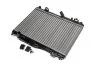 Радіатор охолодження двигуна Ford Fiesta 1,4i AT 08> AVA AVA COOLING FD2441 (фото 1)