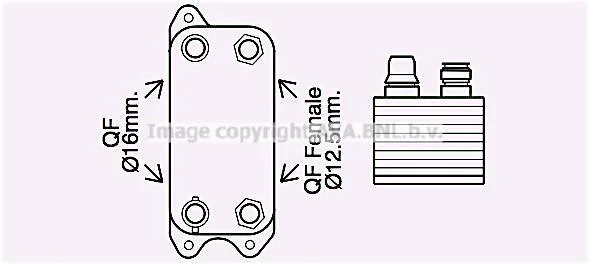 Радіатор масляний КПП MB C-Class (07-), E-Class (09-) AVA AVA COOLING MS3686 (фото 1)