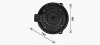Вентилятор обігрівача салону Chevrolet Captiva (06-) 2,4i 3,2i, Epica 2,0i 2,5i (06-) AVA AVA COOLING OL8728 (фото 1)