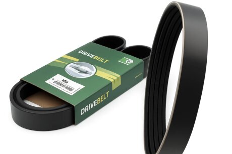 Ремінь поліклиновий BGA 6PK842E