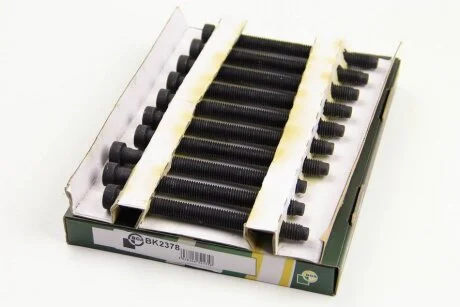 Комплект болтів з головкою системи TORX з чорного металу VOLKSWAGEN BEETLE 2012-, CADDY 2010-, CADDY MA BGA BK2378