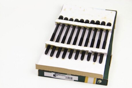 Комплект болтів з головкою системи TORX з чорного металу OPEL / VAUXHALL ASTRA 2012-, CASCADA 2013-, IN BGA BK3373