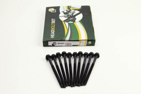 Комплект болтів з головкою системи TORX з чорного металу VOLKSWAGEN BEETLE 2003-2011, BORA 1999-2005, C BGA BK4301