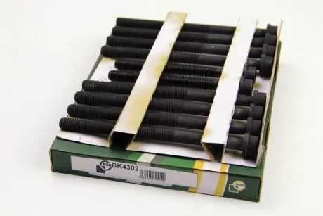 Комплект болтів з головкою системи TORX з чорного металу БОЛТЫ Г/Б (SET) FORD -ua BGA BK4302