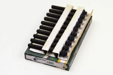 Комплект болтів з головкою системи TORX з чорного металу RENAULT F4R/F4P BGA BK4304