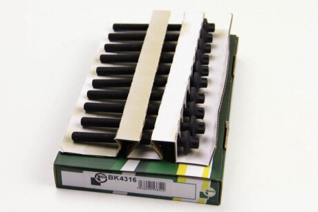 Комплект болтів з головкою системи TORX з чорного металу RENAULT CLIO 2005-2009, KANGOO 2003-2005, TWIN -ua BGA BK4316