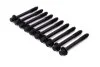 Комплект болтів з головкою системи TORX з чорного металу HYUNDAI SANTA FE 2001-2005, SONATA 2009-2011, -ua BGA BK4341 (фото 1)