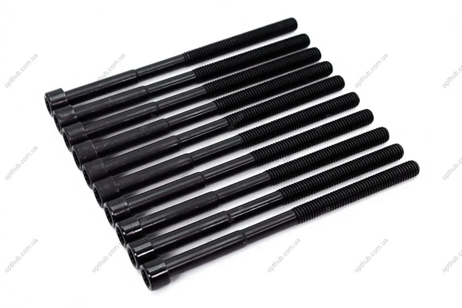 Комплект болтів з головкою системи TORX з чорного металу BGA BK4361 (фото 1)