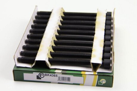 Комплект болтів з головкою системи TORX з чорного металу VAG AJM/ASZ/ATD/AVB/AVF/AWX/BKC/BKE/AUY BGA BK4365