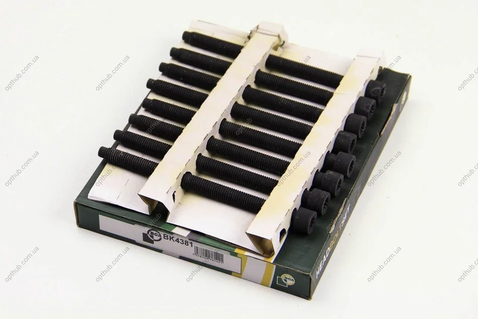 Комплект болтов с головкой системы TORX из черного металла BGA BK4381 (фото 1)