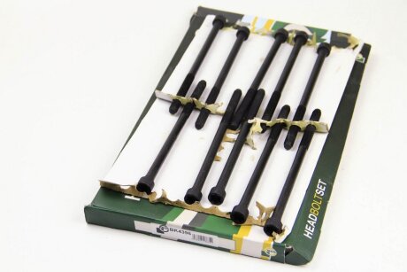 Комплект болтів з головкою системи TORX з чорного металу FIAT BRAVA 1998-2002, BRAVO 2007-2009, CROMA 2 BGA BK4396