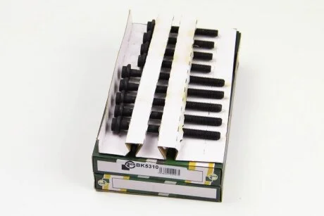 Комплект болтів з головкою системи TORX з чорного металу MB 2.0D/2.3D OM601 BGA BK5310