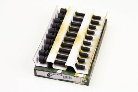 Комплект болтів з головкою системи TORX з чорного металу VOLKSWAGEN CADDY 1998-2001, GOLF 1995-1998, PO -ua BGA BK5312