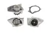 Помпа водяна CITROEN XANTIA 1999-2000, XSARA 1998-2000, XSARA PICASSO 2000-2006, PEUGEOT 306 1999-2003, BGA CP3128 (фото 1)