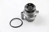 Помпа водяна VOLKSWAGEN GOLF 2003-2009, GOLF PLUS 2007-2007, POLO 2005-2010, TRANSPORTER 2003-2010 BGA CP3342 (фото 1)