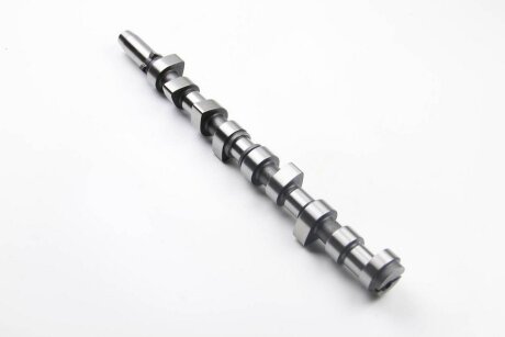 Вал розподільчий FORD ESCORT 1996-2002, FIESTA 1989-1997 BGA CS1324