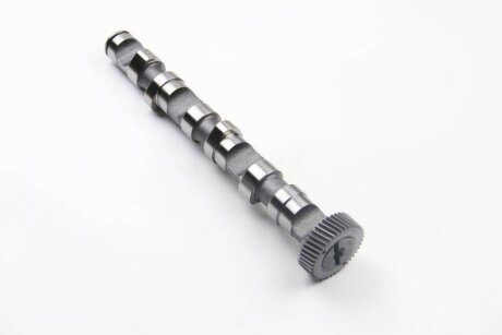 Вал розподільчий VAG 2.5TDI AKN/AFB/AKE/AYM/BFC EX (CYL 4-6) -ua BGA CS1523