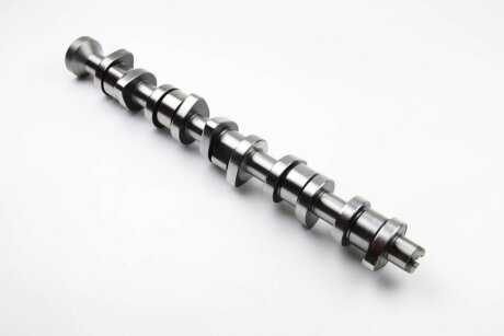 Вал розподільчий VW 2.5TDI AXD/BNZ/AXE/BPC -ua BGA CS9650