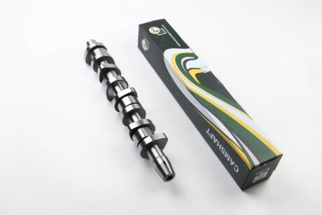 Вал розподільчий VAG ASZ/BLT BGA CS9901