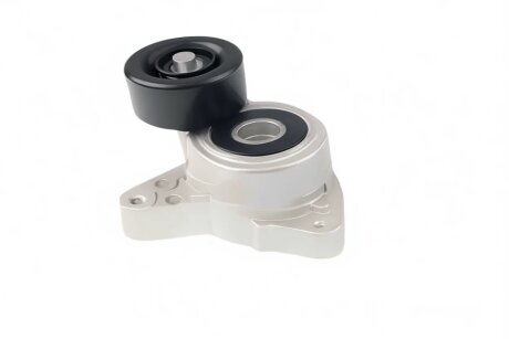 Ролик модуля натягувача ременя BGA DC2500