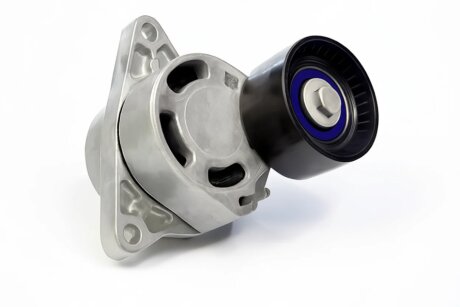 Ролик модуля натягувача ременя BGA DC6301