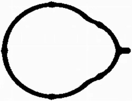 Прокладка колектора двигуна гумова BGA MG2581