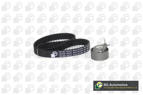 Роликовый модуль натяжителя ремня (ролик, ремень) NISSAN KUBISTAR 2003-2005, PROTON SAVVY 2006-, RENA BGA TB7300K