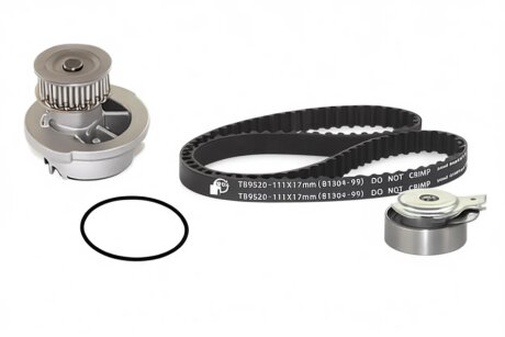 Роликовий модуль натягувача ременя (ролик, ремінь, помпа) DAEWOO NEXIA 1995-1997, OPEL / VAUXHALL BGA TB9520CPK-1