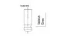 Клапан двигателя EX HYUNDAI D3EA/D4EA 24.4X6X95.4 BGA V162401 (фото 1)