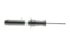 Амортизатор (передний) (L) BMW 5 (G31) 19- (B4) (opt-om) BILSTEIN 19-287409 (фото 8)