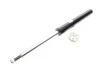 Амортизатор (передний) VW Golf (II/III/IV) 90-02/ Passat (B3/) 88-97 (Gas) (B4) (opt-om) BILSTEIN 21-031502 (фото 1)