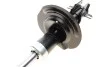 Амортизатор (передній) Fiat Punto 99-12 (B4) (opt-om) BILSTEIN 22-105356 (фото 9)