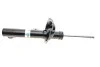Амортизатор (передній) Ford Connect 02-13 (висока база) (R) (B4) (opt-om) BILSTEIN 22-227980 (фото 3)