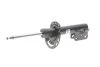Амортизатор (передній) Ford Mondeo V 1.0-2.0D 14- (R) (B4) (opt-om) BILSTEIN 22-263780 (фото 1)