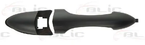 Ручка дверей задн лів/прав (зовнішн, чорн) FORD FOCUS I 08.98-03.05 BLIC 6010-03-028406P (фото 1)