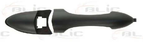 Ручка дверей задн лів/прав (зовнішн, чорн) FORD FOCUS I 08.98-03.05 BLIC 6010-03-028406P