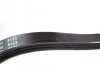 Ремінь генератора Suzuki Grand Vitara 2.5-2.7 98-03/ Honda Accord/Prelude 2.2-2.3 96-03 (opt-om) BLUE PRINT AD04R1020 (фото 2)