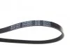Ремінь генератора Suzuki Swift 1.0i 95-05/ Honda Civic 1.4-1.6 94-01/ Nissan Primera1.6-2.0 96-0 UA63 BLUE PRINT AD04R823 (фото 2)