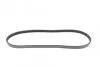 Ремінь генератора Suzuki Swift 1.0i 95-05/ Honda Civic 1.4-1.6 94-01/ Nissan Primera1.6-2.0 96-0 UA63 BLUE PRINT AD04R823 (фото 3)