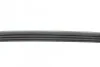 Ремінь генератора Fiat Doblo 1.2i 01-/ Chevrolet Aveo 1.2 08-/ Spark 1.0-1.2 10- (opt-om) BLUE PRINT AD04R840 (фото 2)
