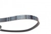 Ремінь генератора Citroen Berlingo/Peugeot Partner 1.1/1.4/1.6, 96-/Hyundai Elantra/Tucson 2.0 0 UA63 BLUE PRINT AD04R855 (фото 2)