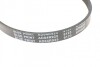 Ремінь генератора Mazda 626 1.8/2.0i 91-97/ Suzuki Swift/ Vitara 1.0-1.9 89-05 UA63 BLUE PRINT AD04R925 (фото 4)