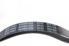 Ремінь генератора поліклиновий BLUE PRINT AD05R1220 (фото 2)