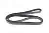 Ремінь генератора BMW 5 (E39)/Opel Omega B 2.5TD 94-03/ Hyundai i30/ Kia Rio 1.1-1.6 CRDi 05- UA63 BLUE PRINT AD05R1815 (фото 3)