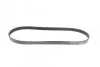 Ремінь генератора Citroen Berlingo 1.1-1.4 96-/ Subaru Forester/ Impreza/ Legacy 1.6-2.5 92-09 UA63 BLUE PRINT AD05R880 (фото 3)
