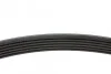 Ремінь генератора Ford Connect 1.8D/TDCi 02-/ Opel Combo 1.2-1.4i -01/ Honda Accord/ Civic 2.0 UA63 BLUE PRINT AD06R1460 (фото 2)