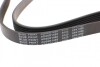 Ремінь генератора Fiat Ducato 2.0JTD 01- (ALT, AC)/ Honda S2000 2.0 99- (opt-om) BLUE PRINT AD06R1468 (фото 3)